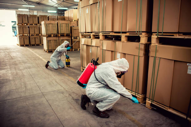 Best Pest Control Near Me  in Nashville, NC