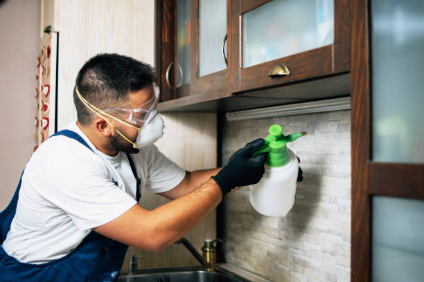 Best Mosquito Control Services  in Nashville, NC