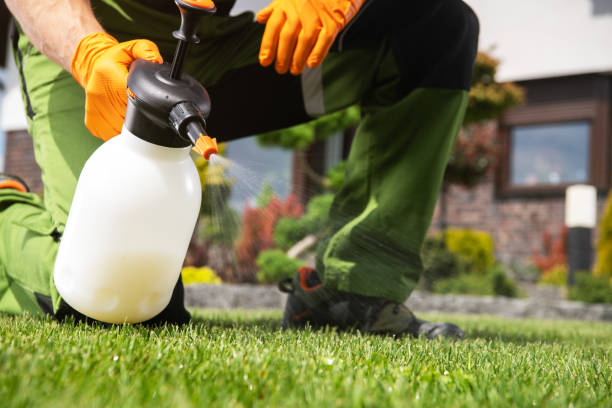 Best Pest Control Near Me in Nashville, NC