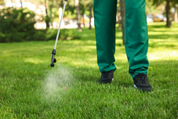 Best Residential Pest Control  in Nashville, NC