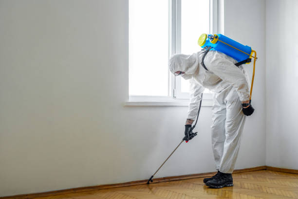 Best Affordable Pest Control Services  in Nashville, NC