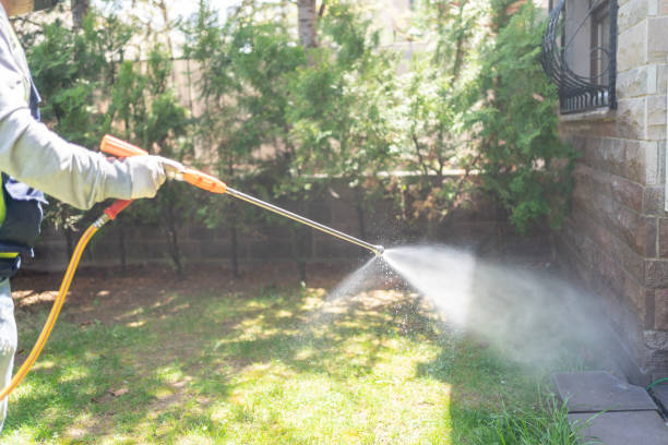 Best Mosquito Control Services  in Nashville, NC
