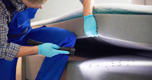 Best Emergency Pest Control  in Nashville, NC
