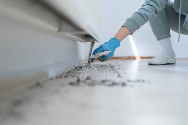 Best Wildlife Control Services  in Nashville, NC