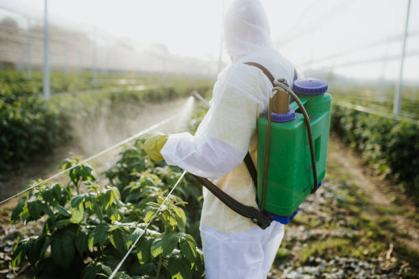 Pest Prevention Services in Nashville, NC